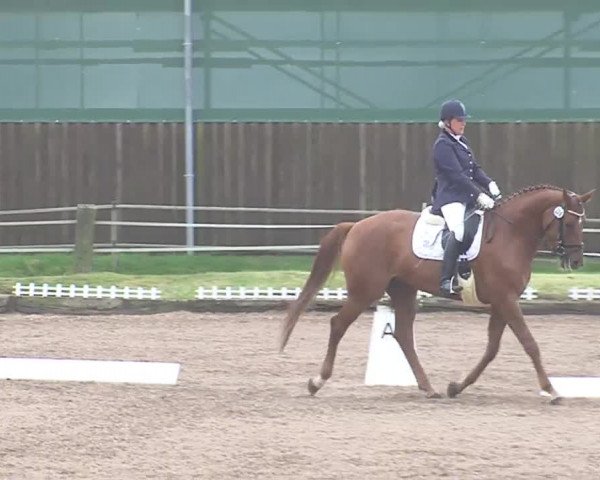 Reitturnier Großensee 2016