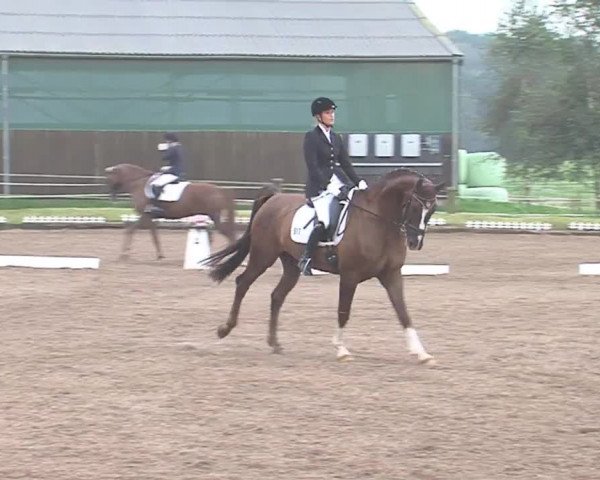 Reitturnier Großensee 2016
