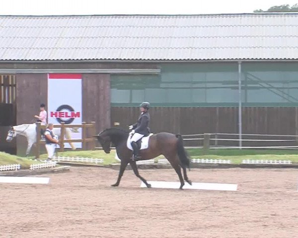 Reitturnier Großensee 2016