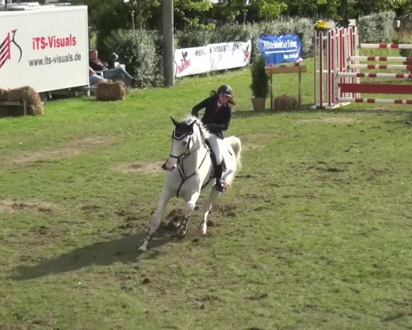 12. Allröder Reitertage 2016 - Hotelturnier