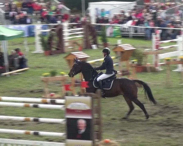 12. Allröder Reitertage 2016 - Hotelturnier