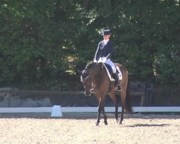 Reitturnier Würselen-Pley 2016