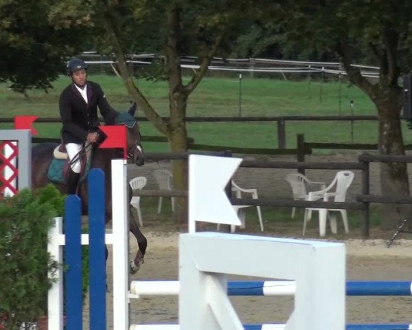 Reitturnier Bergisch Gladbach-Paffrath 2016