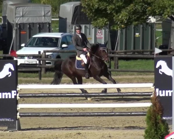Reitturnier Bergisch Gladbach-Paffrath 2016