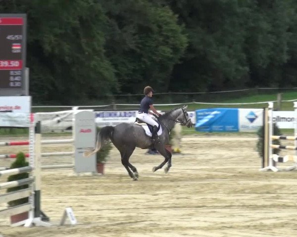 Reitturnier Bergisch Gladbach-Paffrath 2016