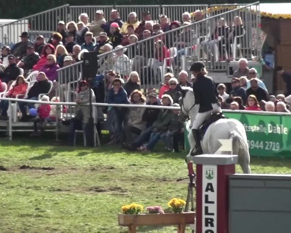 12. Allröder Reitertage 2016 - Hotelturnier