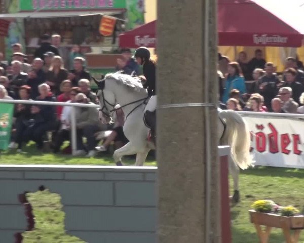 12. Allröder Reitertage 2016 - Hotelturnier