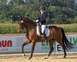 broodmare Topfidelia (Westphalian, 2004, from Fürst Piccolo)