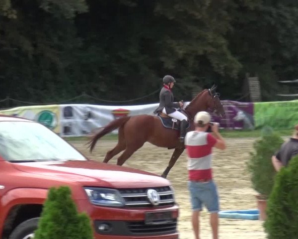 Reitturnier Bergisch Gladbach-Paffrath 2016