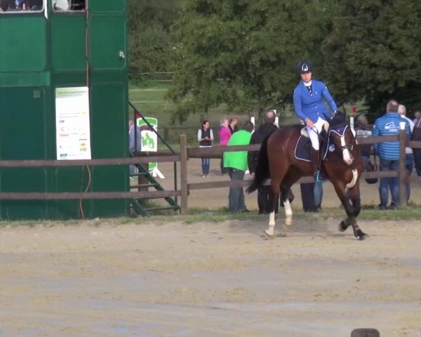 Reitturnier Bergisch Gladbach-Paffrath 2016