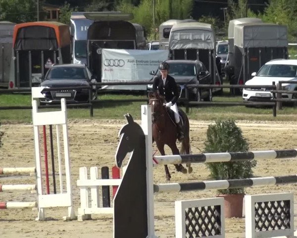Reitturnier Bergisch Gladbach-Paffrath 2016