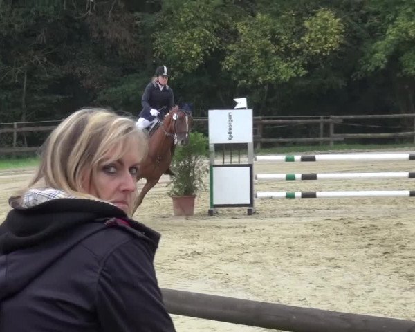 Reitturnier Bergisch Gladbach-Paffrath 2016