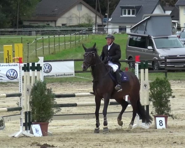 Reitturnier Bergisch Gladbach-Paffrath 2016