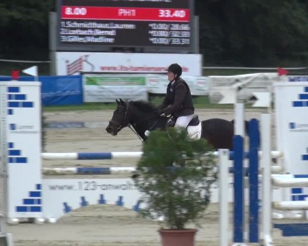 Reitturnier Bergisch Gladbach-Paffrath 2016
