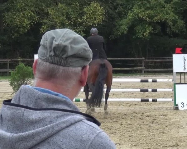 Reitturnier Bergisch Gladbach-Paffrath 2016