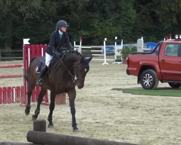 Reitturnier Bergisch Gladbach-Paffrath 2016