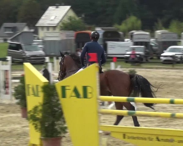 Reitturnier Bergisch Gladbach-Paffrath 2016