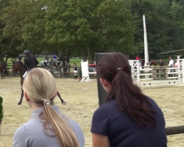 Reitturnier Bergisch Gladbach-Paffrath 2016