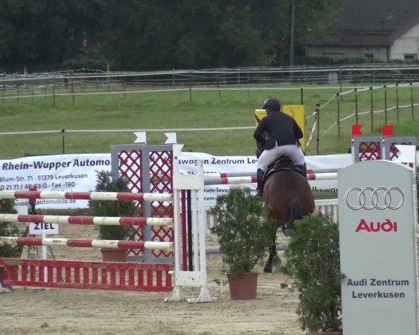Reitturnier Bergisch Gladbach-Paffrath 2016