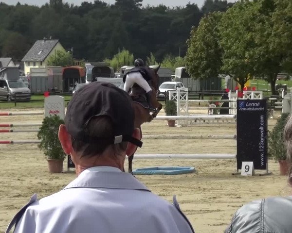 Reitturnier Bergisch Gladbach-Paffrath 2016