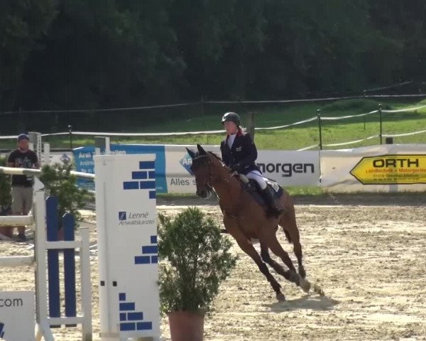 Reitturnier Bergisch Gladbach-Paffrath 2016