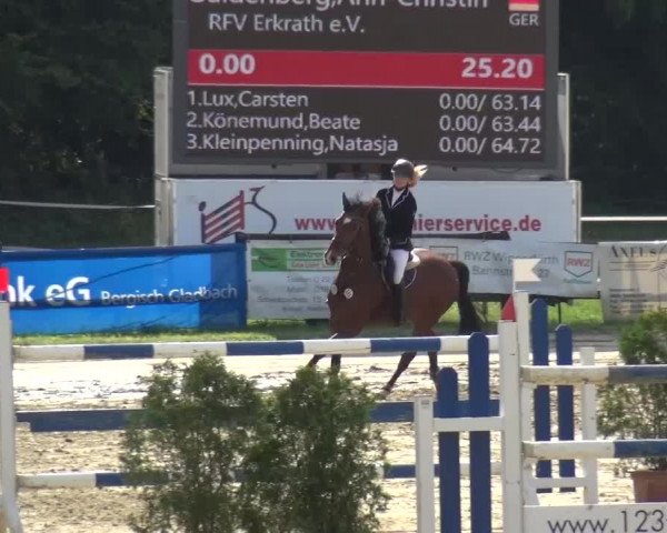 Reitturnier Bergisch Gladbach-Paffrath 2016