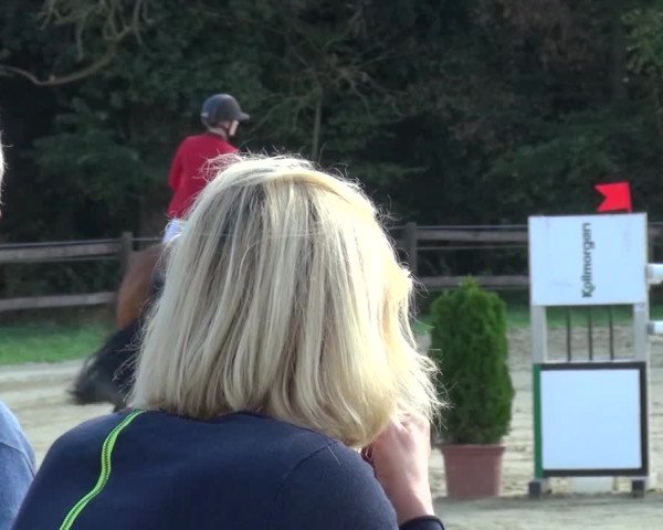 Reitturnier Bergisch Gladbach-Paffrath 2016