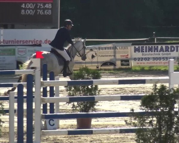 Reitturnier Bergisch Gladbach-Paffrath 2016