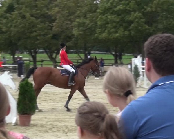 Reitturnier Bergisch Gladbach-Paffrath 2016