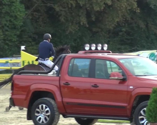 Reitturnier Bergisch Gladbach-Paffrath 2016