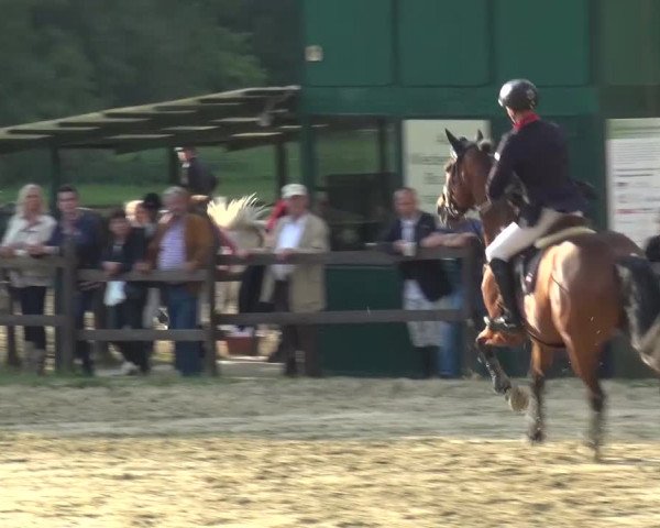Reitturnier Bergisch Gladbach-Paffrath 2016