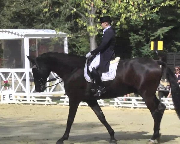 Nordbadische Meisterschaften Dressur 2016