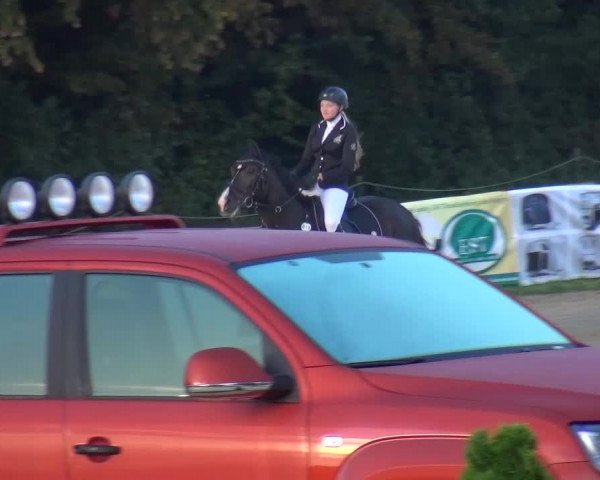 Reitturnier Bergisch Gladbach-Paffrath 2016