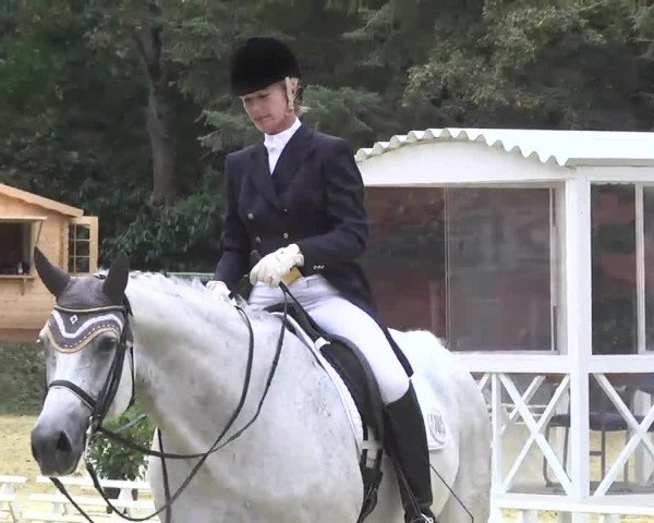 Nordbadische Meisterschaften Dressur 2016