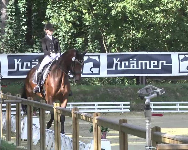 Nordbadische Meisterschaften Dressur 2016
