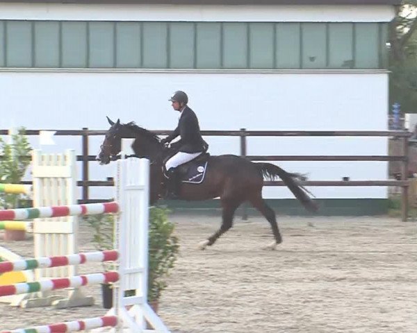 Reitturnier HH-Klein Offenseth/Hell-Stallion-Stud 2016