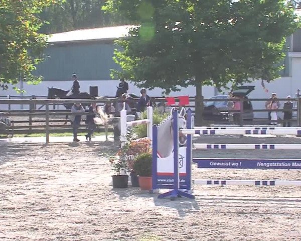 Reitturnier HH-Klein Offenseth/Hell-Stallion-Stud 2016