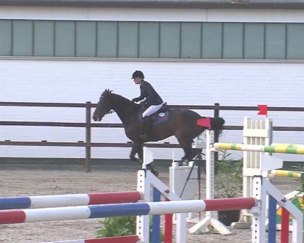 Reitturnier HH-Klein Offenseth/Hell-Stallion-Stud 2016