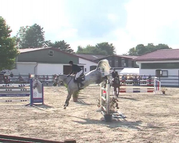 Reitturnier HH-Klein Offenseth/Hell-Stallion-Stud 2016