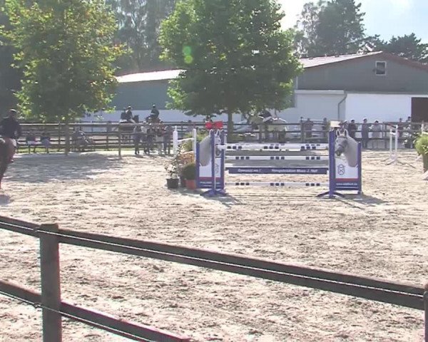 Reitturnier HH-Klein Offenseth/Hell-Stallion-Stud 2016