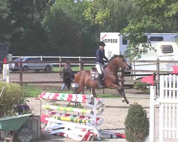 Reitturnier HH-Klein Offenseth/Hell-Stallion-Stud 2016
