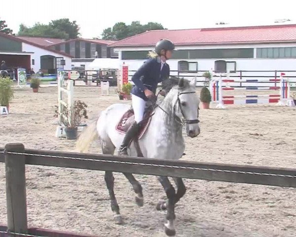 Reitturnier HH-Klein Offenseth/Hell-Stallion-Stud 2016