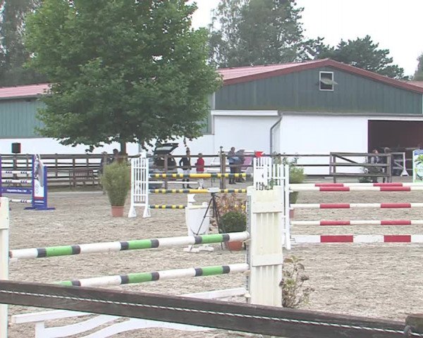 Reitturnier HH-Klein Offenseth/Hell-Stallion-Stud 2016