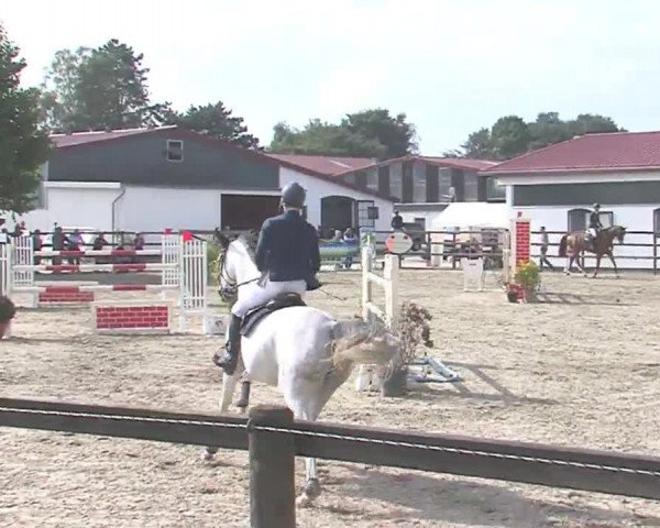 Reitturnier HH-Klein Offenseth/Hell-Stallion-Stud 2016