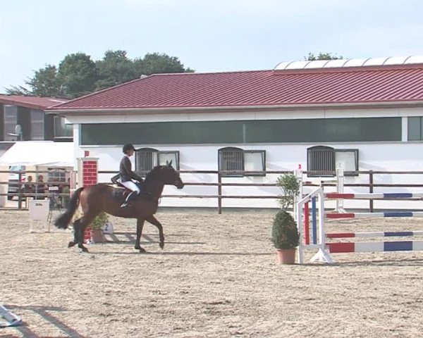 Reitturnier HH-Klein Offenseth/Hell-Stallion-Stud 2016