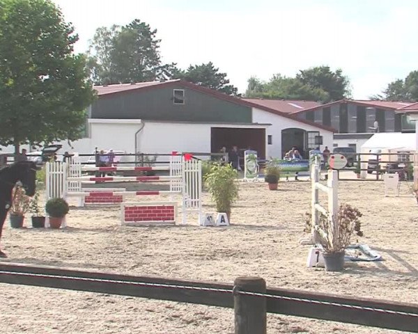 Reitturnier HH-Klein Offenseth/Hell-Stallion-Stud 2016