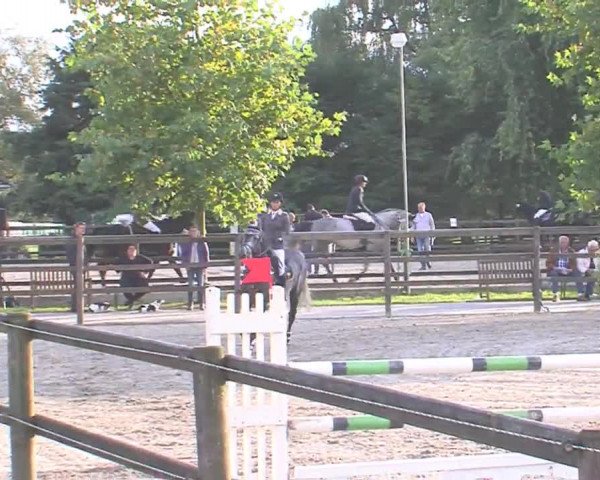 Reitturnier HH-Klein Offenseth/Hell-Stallion-Stud 2016