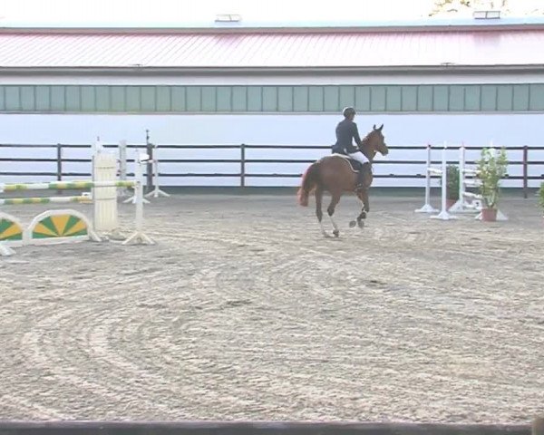 Reitturnier HH-Klein Offenseth/Hell-Stallion-Stud 2016