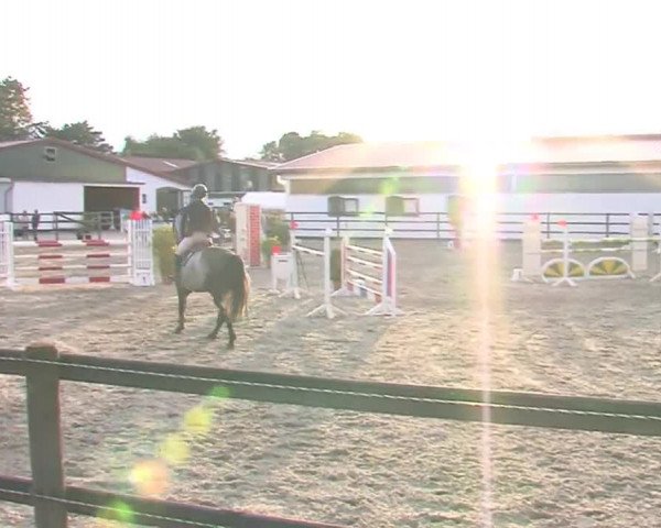 Reitturnier HH-Klein Offenseth/Hell-Stallion-Stud 2016