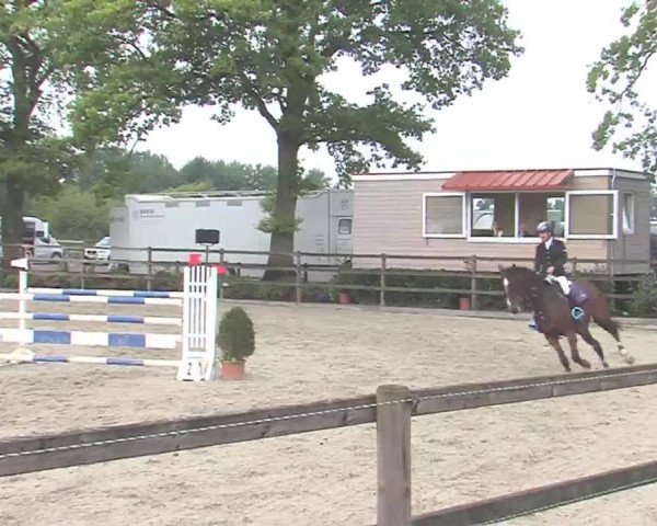 Reitturnier HH-Klein Offenseth/Hell-Stallion-Stud 2016